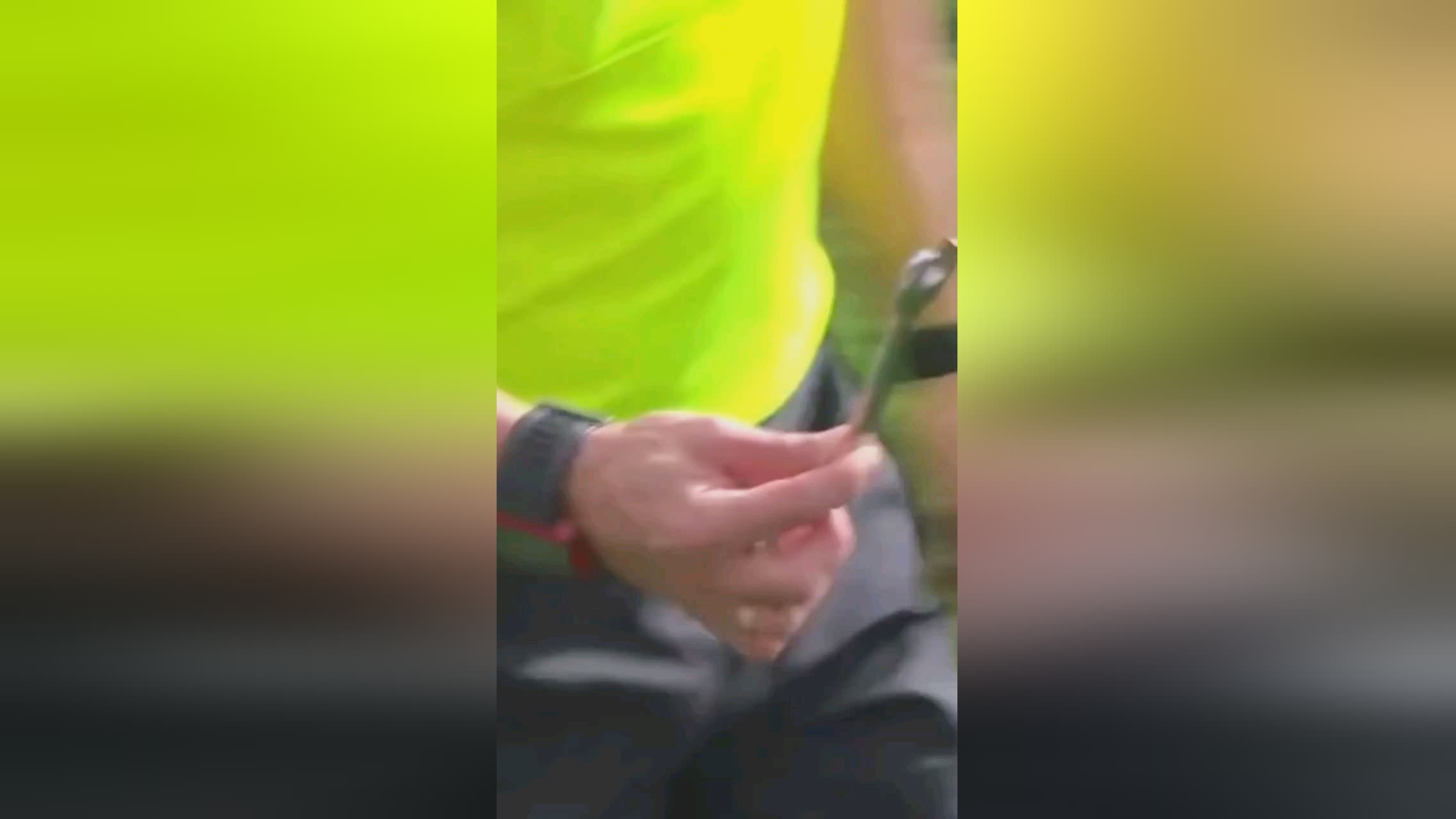 力都是决定